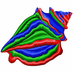 Seashell Embroidery Design 7 Seashell Embroidery Design 7